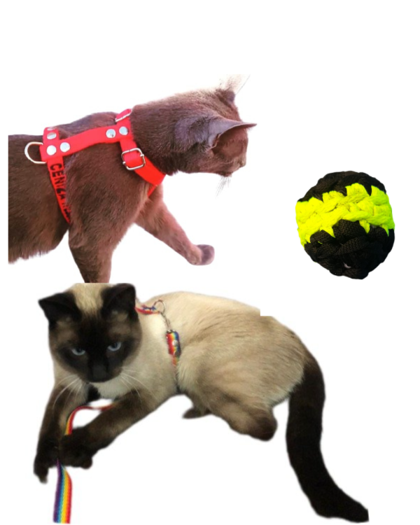 Producto - KIT PASEO Y ESPARCIMIENTO GATO