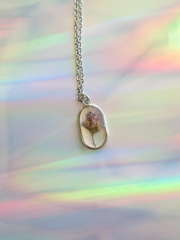 Producto - wisteria pétit