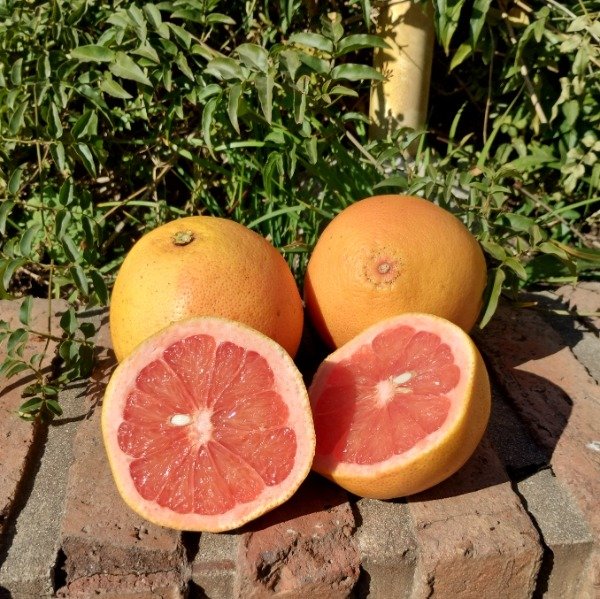 Producto - Pomelo Orgánico