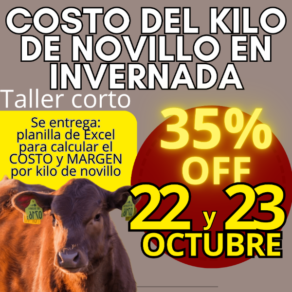 Producto - Taller corto: cálculo del costo del kilo de novillo - 0
