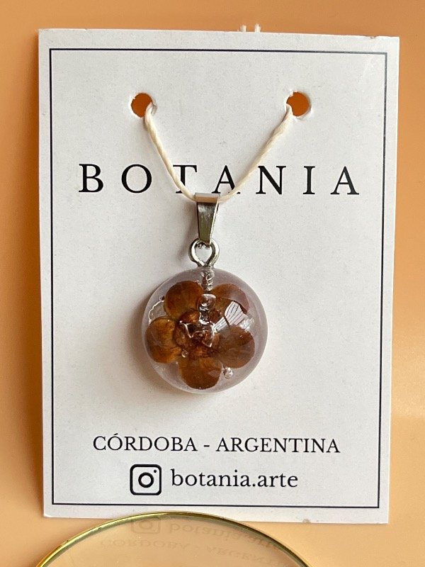 Producto - Semilla 10