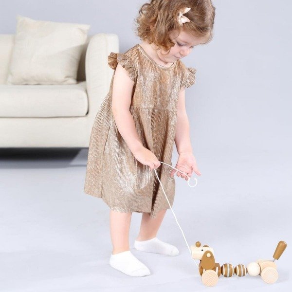 Producto - Perro de Arrastre - 2