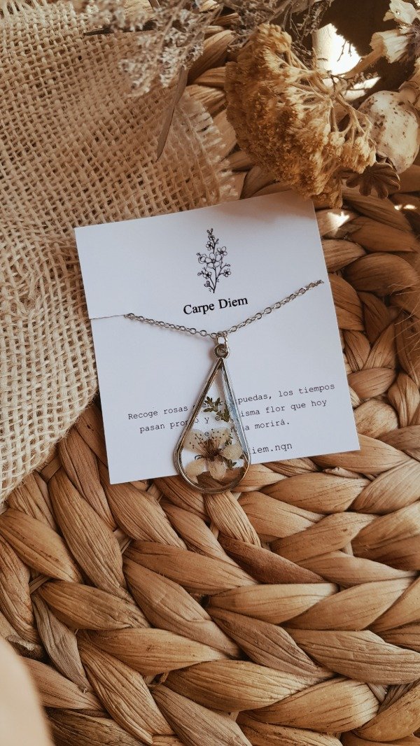 Producto - Collar Melitón