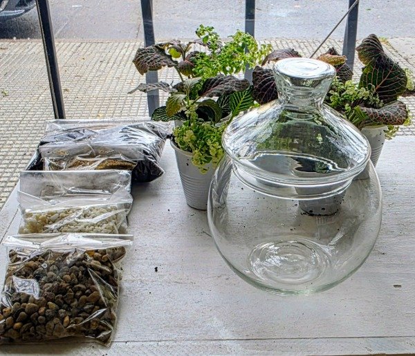 Producto - KIT PARA ARMAR TERRARIOS - 1