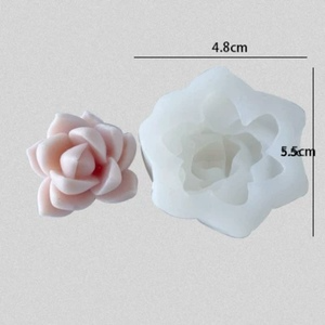 Producto - Molde suculenta 1L5