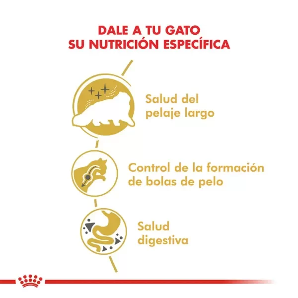 Producto - Alimento Royal Canin Gato Adulto Persian - 2
