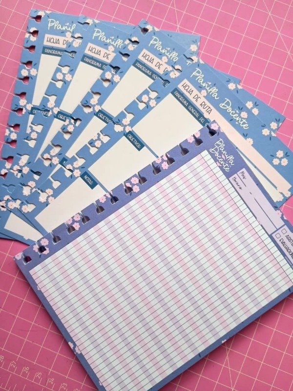 Producto - Panel Docente II