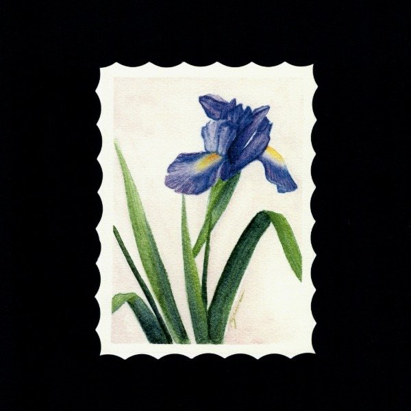 Producto - Print Iris