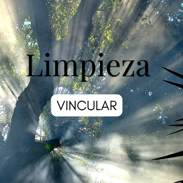 Producto - Limpieza Energetica Vincular