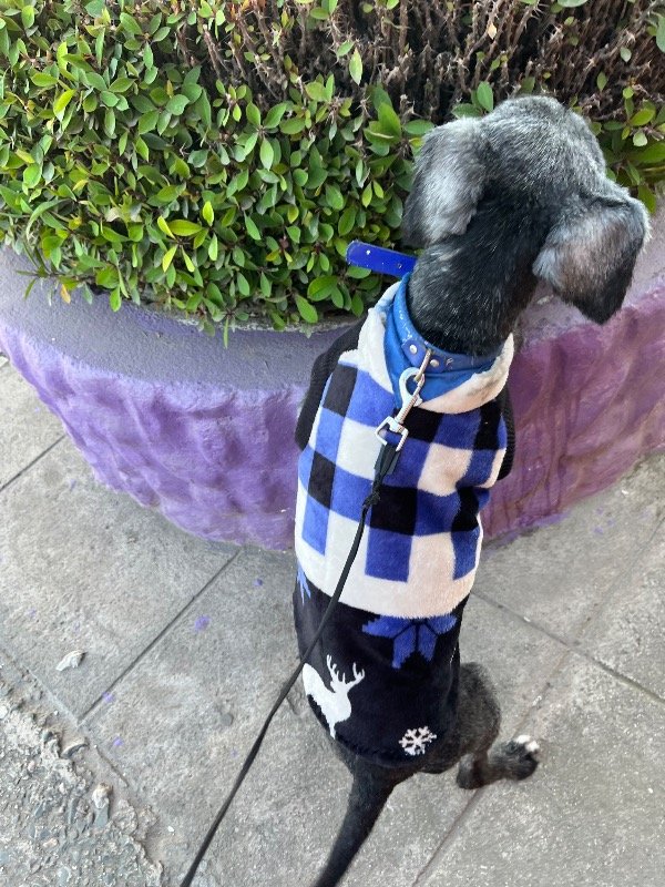 Miniatura de producto - 7