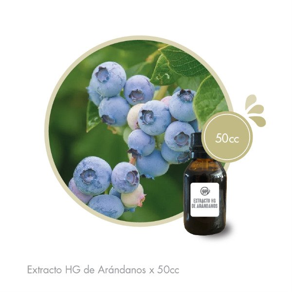 Producto - Extracto HG de Arandanos