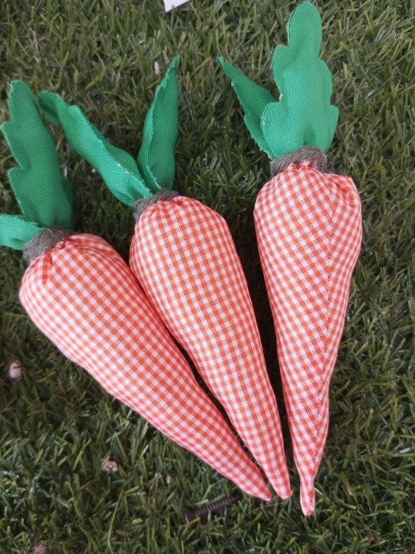 Producto - Zanahorias Colorida