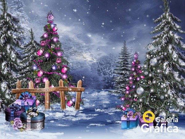 Producto - Navidad FS 42