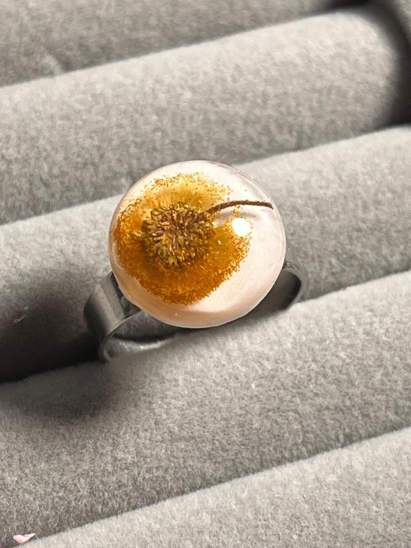 Producto - Anillo 4 espinillo - 0