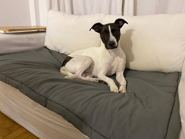 Producto - Pillow Cubre Sillón Reversible 1.50 x 0.70