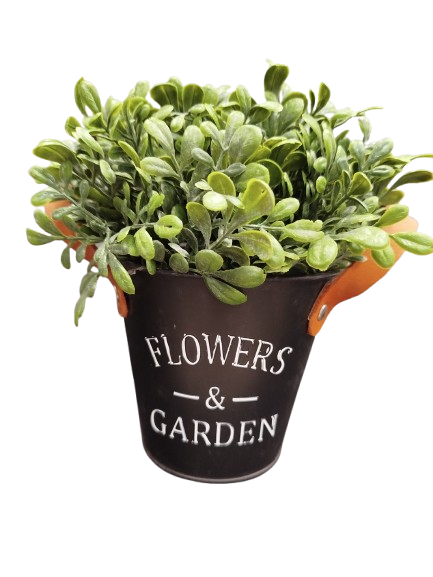 Producto - Planta con Maceta Negra