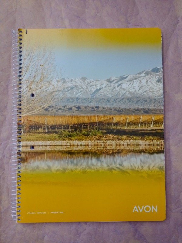 Producto - Cuadernillo cuadriculado A4 - Mendoza