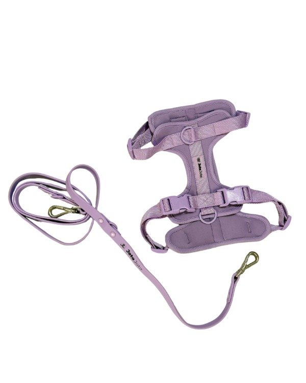 Producto - arnés + correa sarah + peluche de regalo