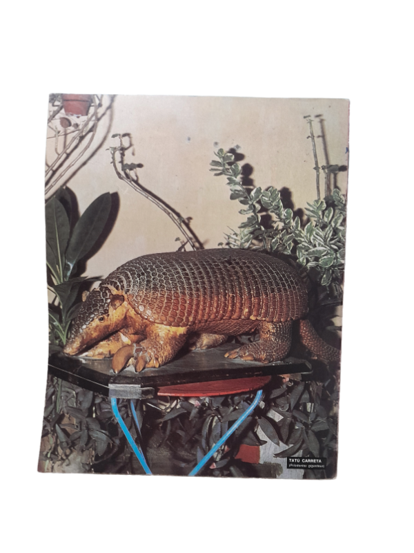 Miniatura de producto - 7