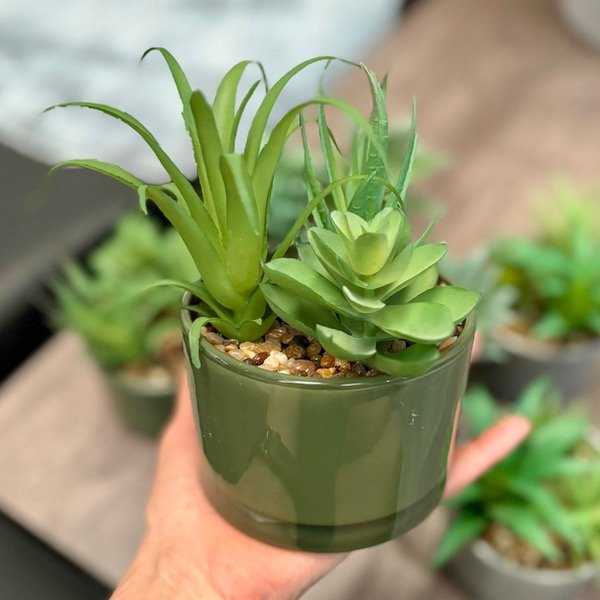 Producto - Planta Con Maceta De Vidrio 371576