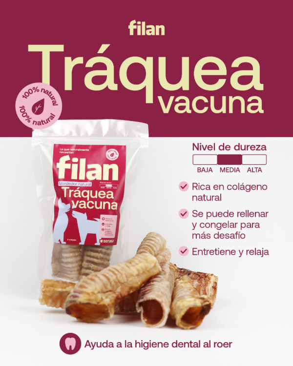 Producto - Traquea vacuna