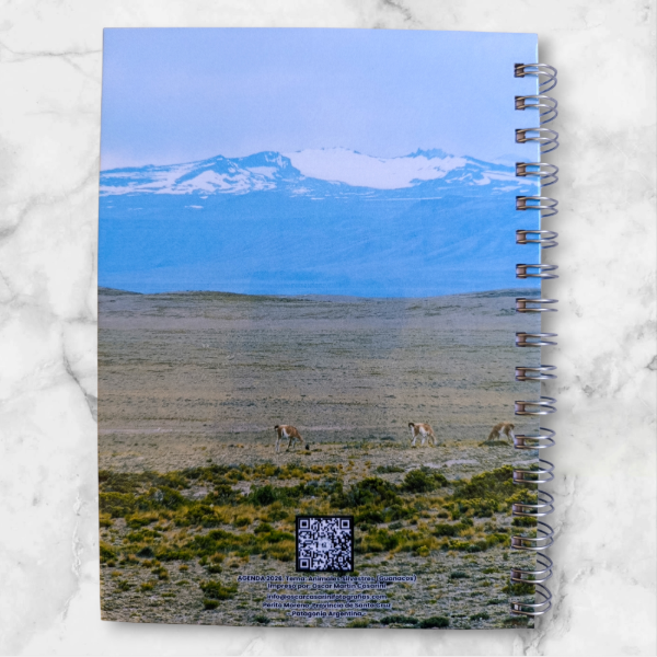 Miniatura de producto - 7