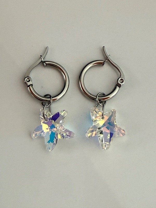 Producto - A1226 Aros argollita estrellita de mar cristal acero quirúrgico