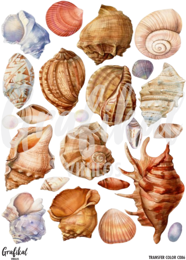 Producto - TransferColor 15x20 086