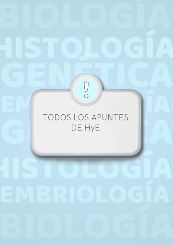 Producto - Todos los Apuntes de HyE