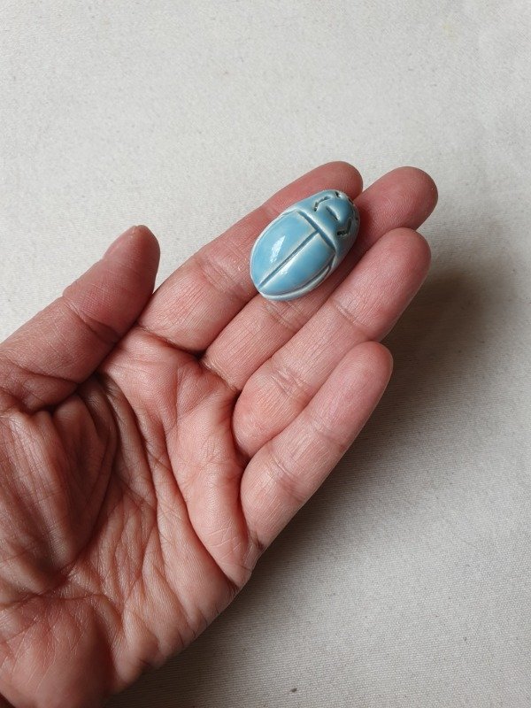 Producto - LUCERO Broche Escarabajo del Cielo - 6