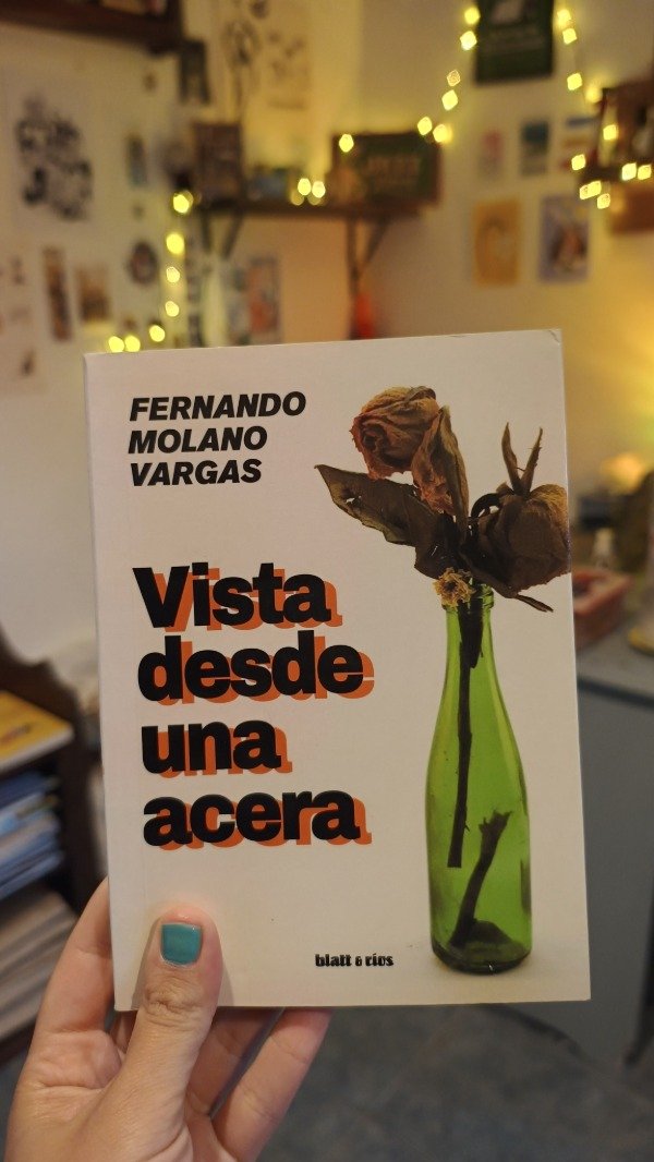 Producto - Vista desde una acera - Fernando Molano Vargas