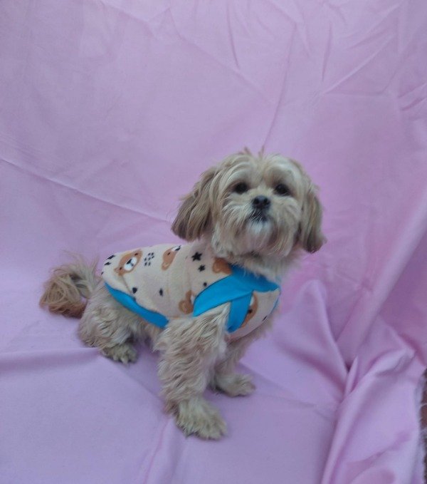 Producto - Chaleco OSITOS BEIGE de polar talle 1