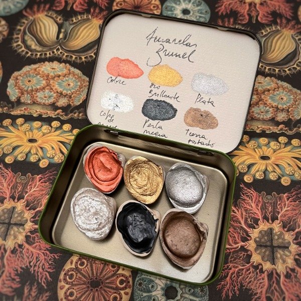 Producto - Paleta 6 metales en caracol natural