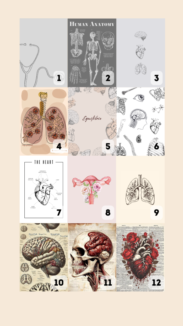 Producto - Cuadernos A4 - 2