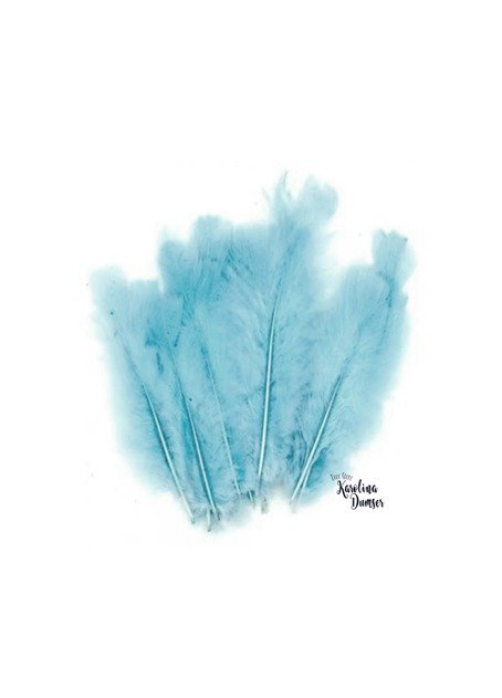 Producto - Plumas Celeste por 10 Unidades