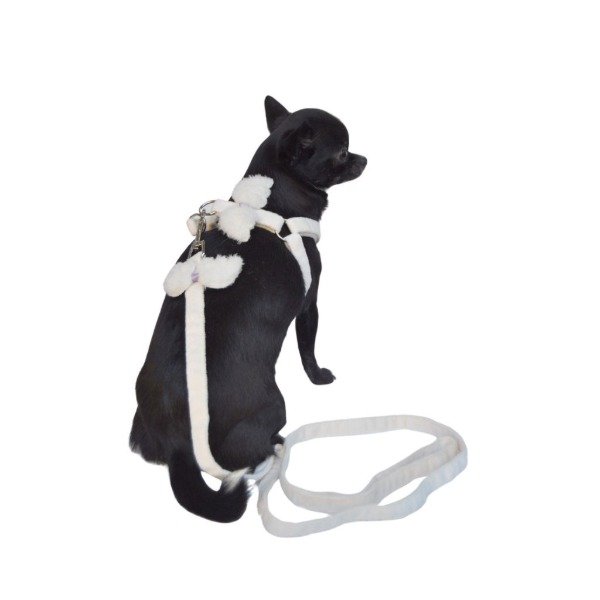 Producto - PRETAL Y CORREA PICHU