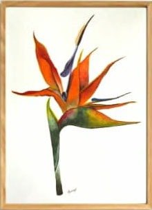 Producto - Flores Nro 1