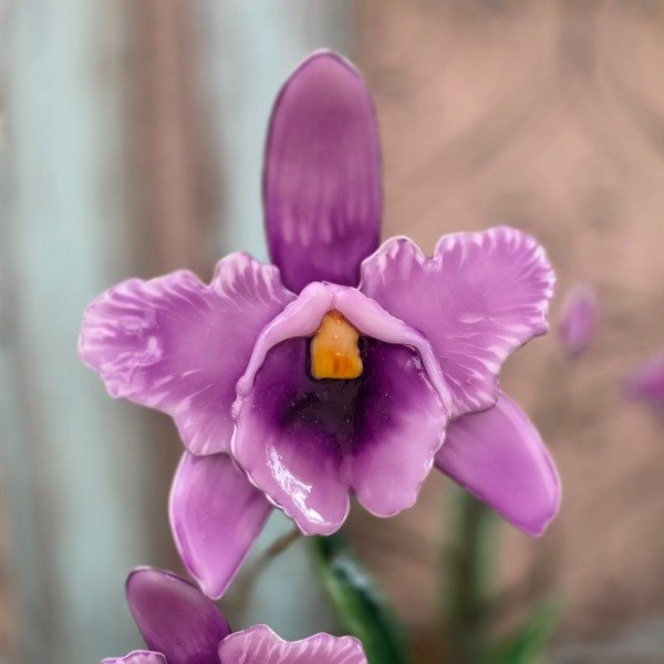 Producto - MOLDE DE  FLOR CATTLEYA - 1