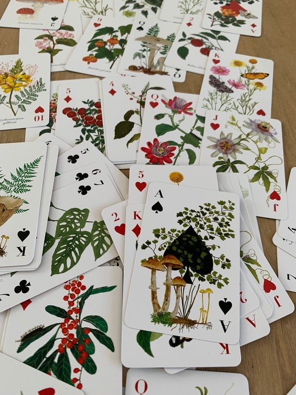 Producto - Naipes estilo frances FLORA  FUNGI