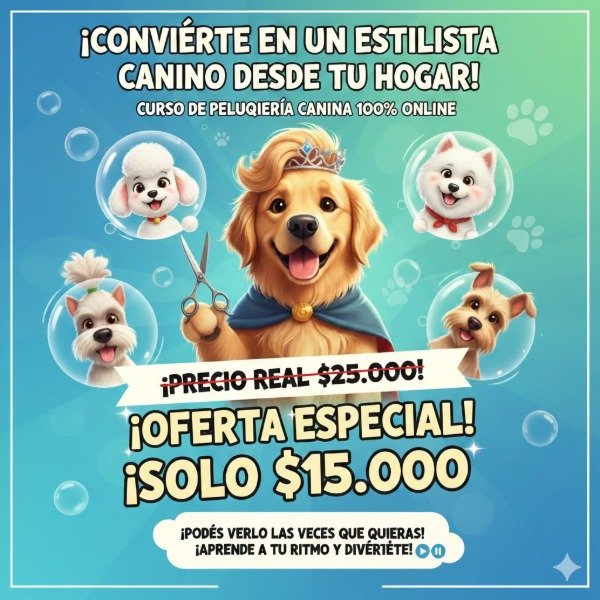 Producto - Curso online