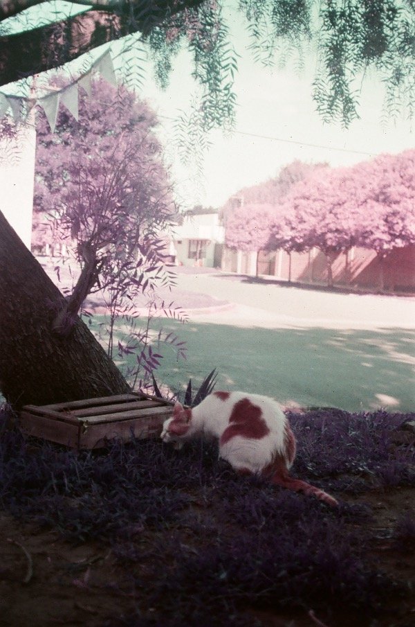 Miniatura de producto - 6