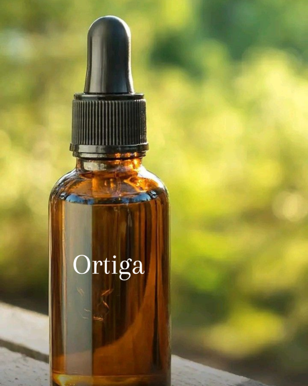 Producto - TM de Ortiga