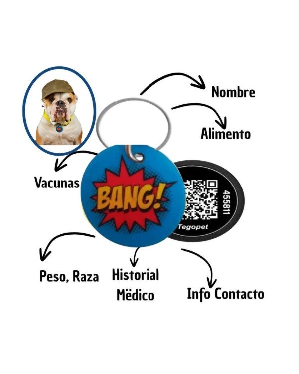 Producto - Chapita Identificatoria para Mascota con Código QR- Bang