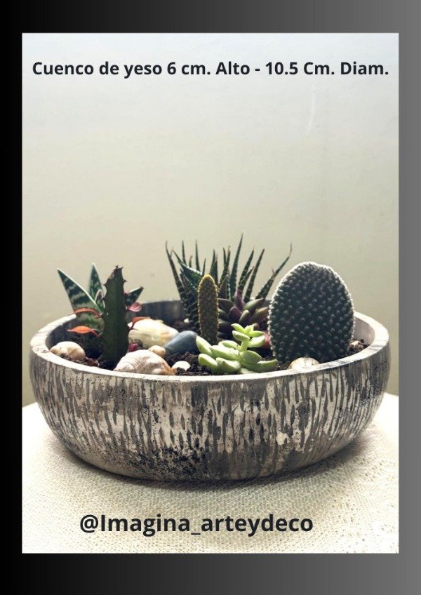 Producto - Cuenco Mini Jardín Textura de Piedra