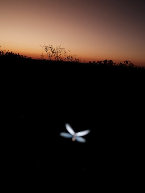 Producto - Impresión Fine Art - Enmarcado - Medidas variables - 20