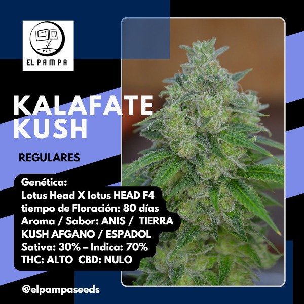 Producto - Kalafate Kush
