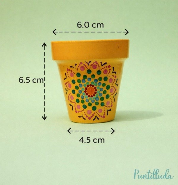 Producto - Maceta Número 7 (Lista para regalar)