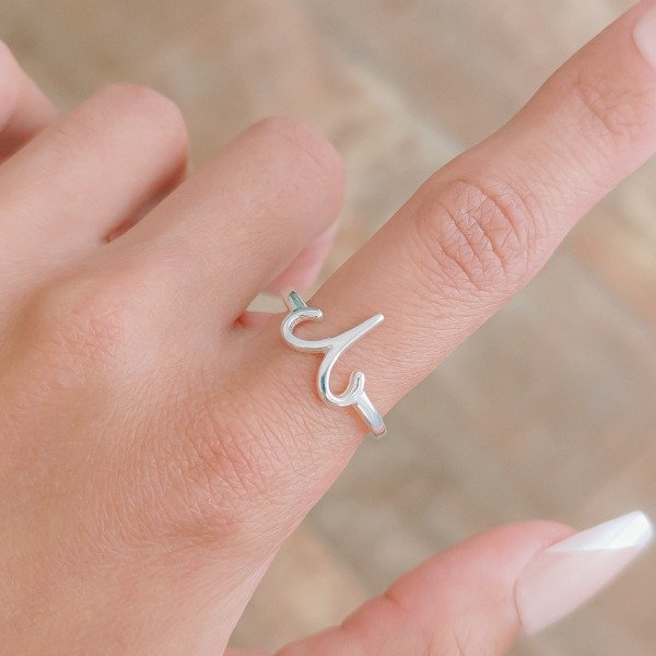 Producto - AN-L #3-10 ARIES (DÓLAR)