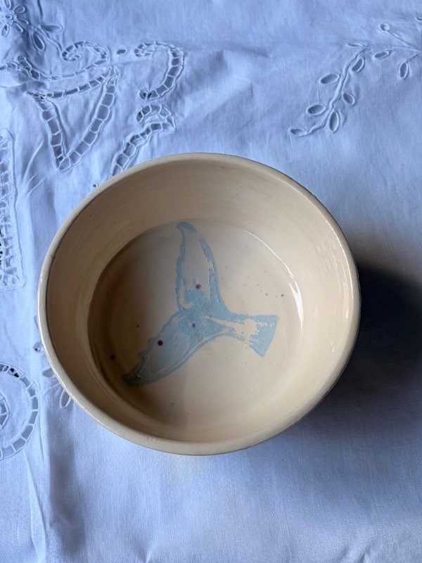 Producto - Bowl agua - 1