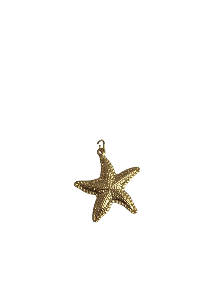 Producto - Dije Sea Star